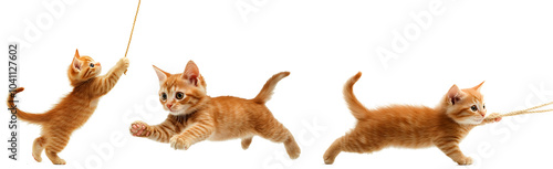 group set playful orange kitten caught mid-leap, jumping towards a dangling string cat with transparent background