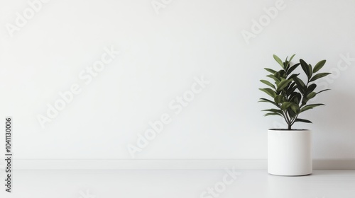 A minimalist indoor plant in a sleek white pot on a clean surface enhances modern decor and promotes a tranquil atmosphere.