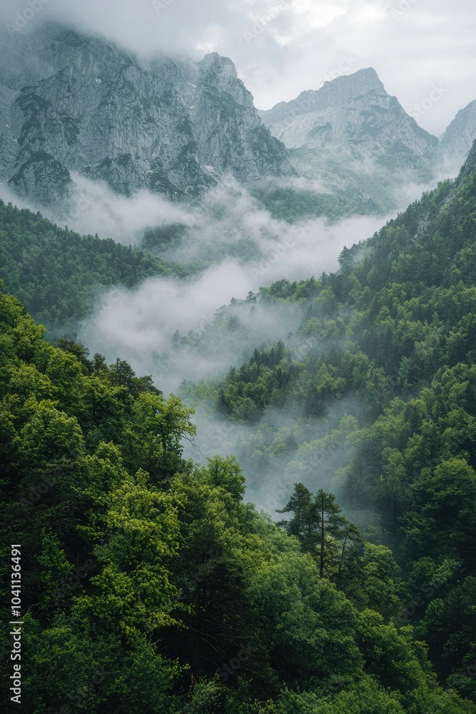 Foggy Mountain Range with Lush Green Forest Foggy Mountain Range with Lush Green Forest