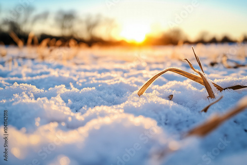 Snow At Sunset