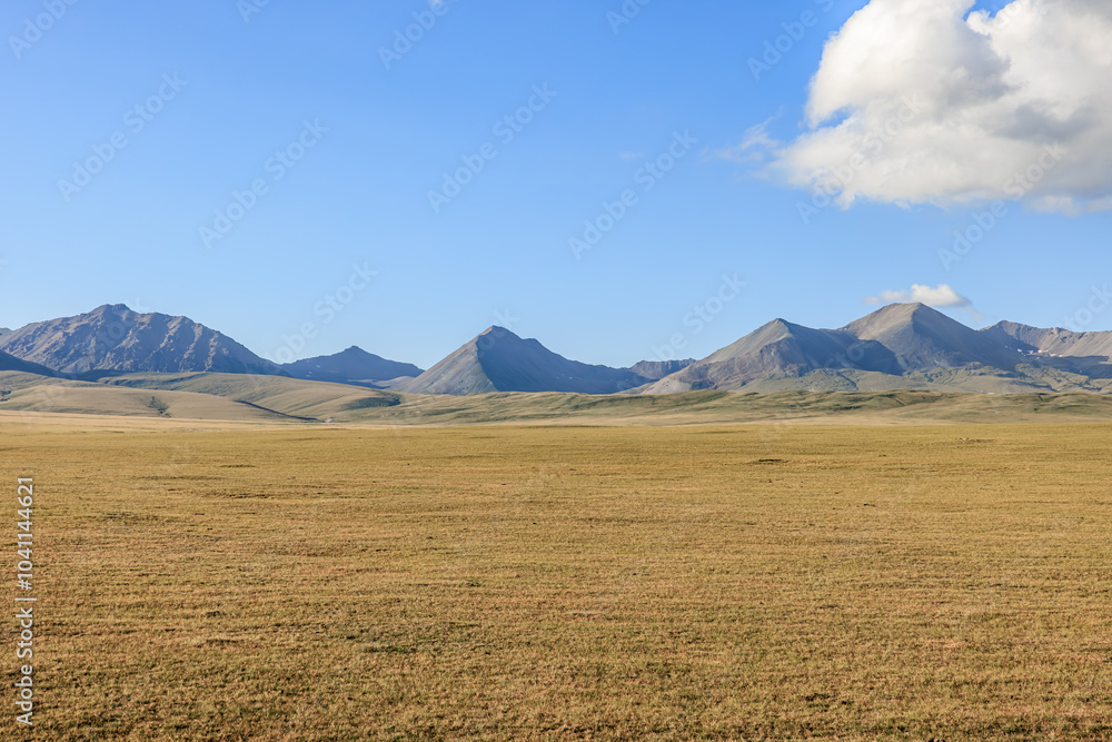 Naklejka premium Yellow grassland and mountain natural landscape under blue sky. autumn background.