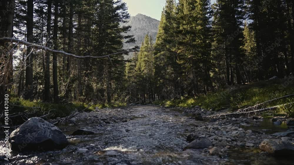 A serene forest stream flows through lush trees with mountains in the background, late afternoon A serene forest stream flows through lush trees with mountains in the background, late afternoon