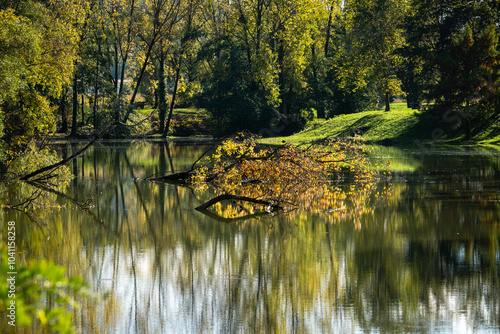 Automne au bord de l'eau