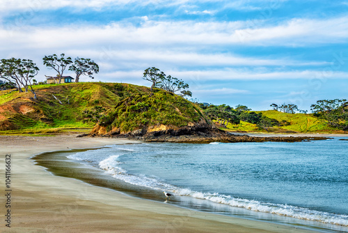 Elliot Bay, North Island, New Zealand, Oceania. photo