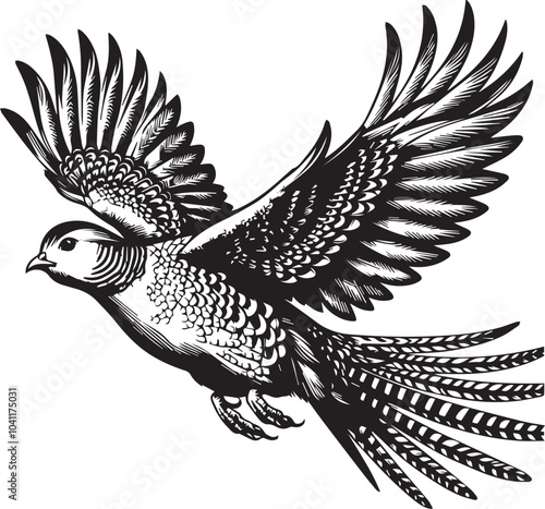 Golden pheasant vector