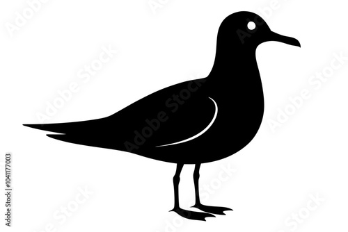 Seagull Silhouette vector illustration