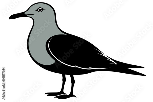 Seagull Silhouette vector illustration