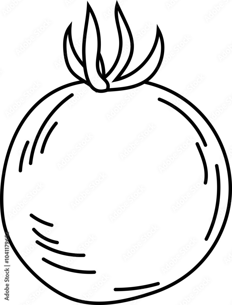 Tomato black and white on white background. Vector illustration. Tomato black and white on white background. Vector illustration.