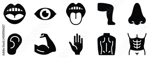 Human Body Icon Set Anatomical Line Style Collection for Health and Wellness
