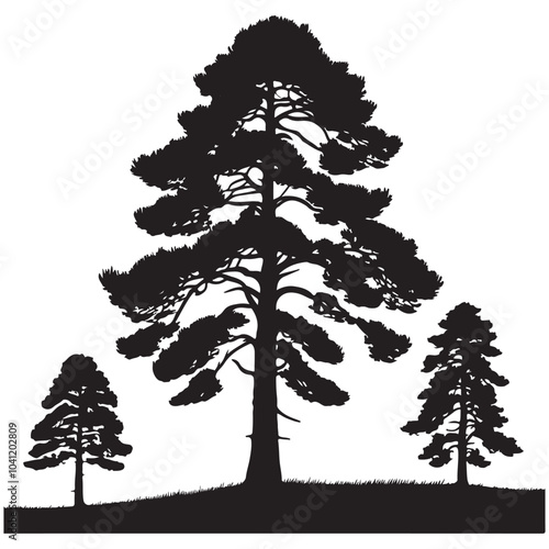 pine tree vector silhouette