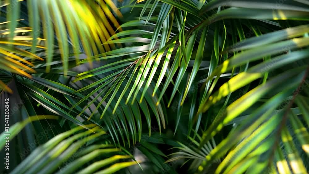 Immersive jungle foliage in dynamic motion with soft light transitions Immersive jungle foliage in dynamic motion with soft light transitions