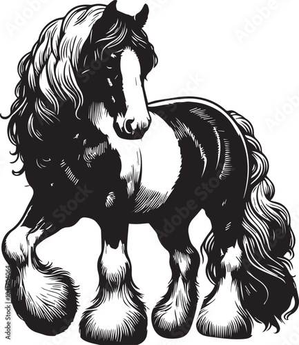 Shire horse vector