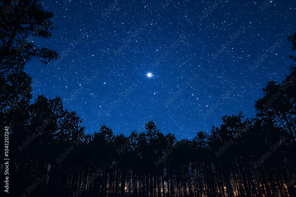 Starry night sky over a forest with silhouette of trees at dusk. Generative AI. Starry night sky over a forest with silhouette of trees at dusk. Generative AI.