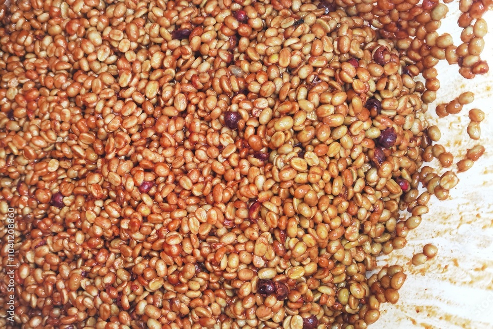 Coffee beans,In the ferment and wash method of wet processing Coffee beans,In the ferment and wash method of wet processing