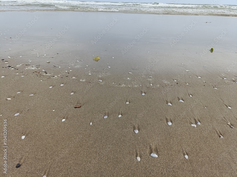This beautiful image captures a pristine sandy beach, where gentle ocean waves kiss the shore under a bright blue sky.