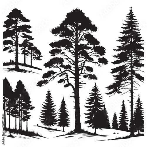 pine tree vector silhouette
