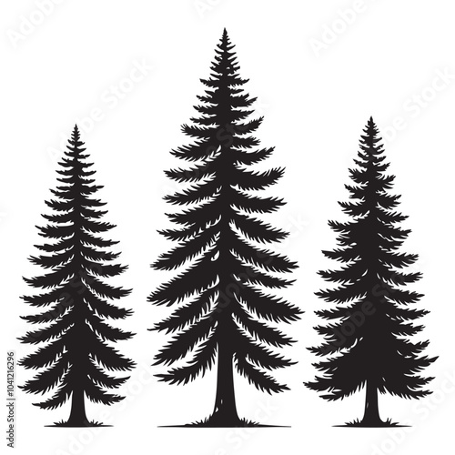 pine tree vector silhouette