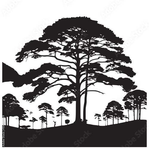 pine tree vector silhouette