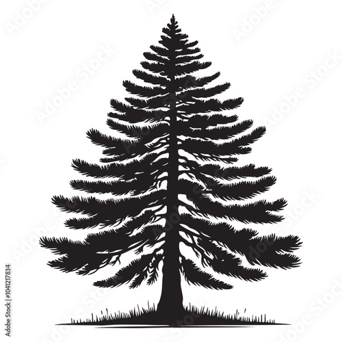 pine tree vector silhouette