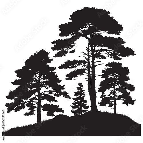 pine tree vector silhouette