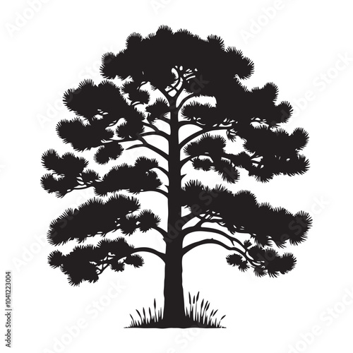 pine tree vector silhouette