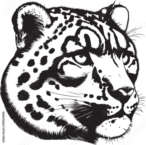 snow leopard vector