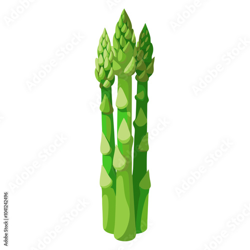 Asparagus no background