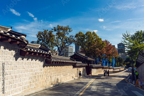 Photography 초가을 덕수궁 돌담길- 중구, 서울, 대한민국