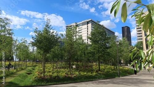 Vue sur les arbres de la forêt urbaine de la place de Catalogne, dans le quartier Montparnasse à Paris, en été (France)
