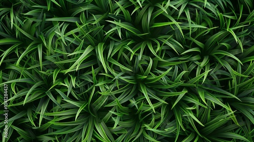 A vibrant image showcasing a dense array of green leaves, creating a rich texture with intertwining patterns, evoking a sense of nature's abundant vitality and life.