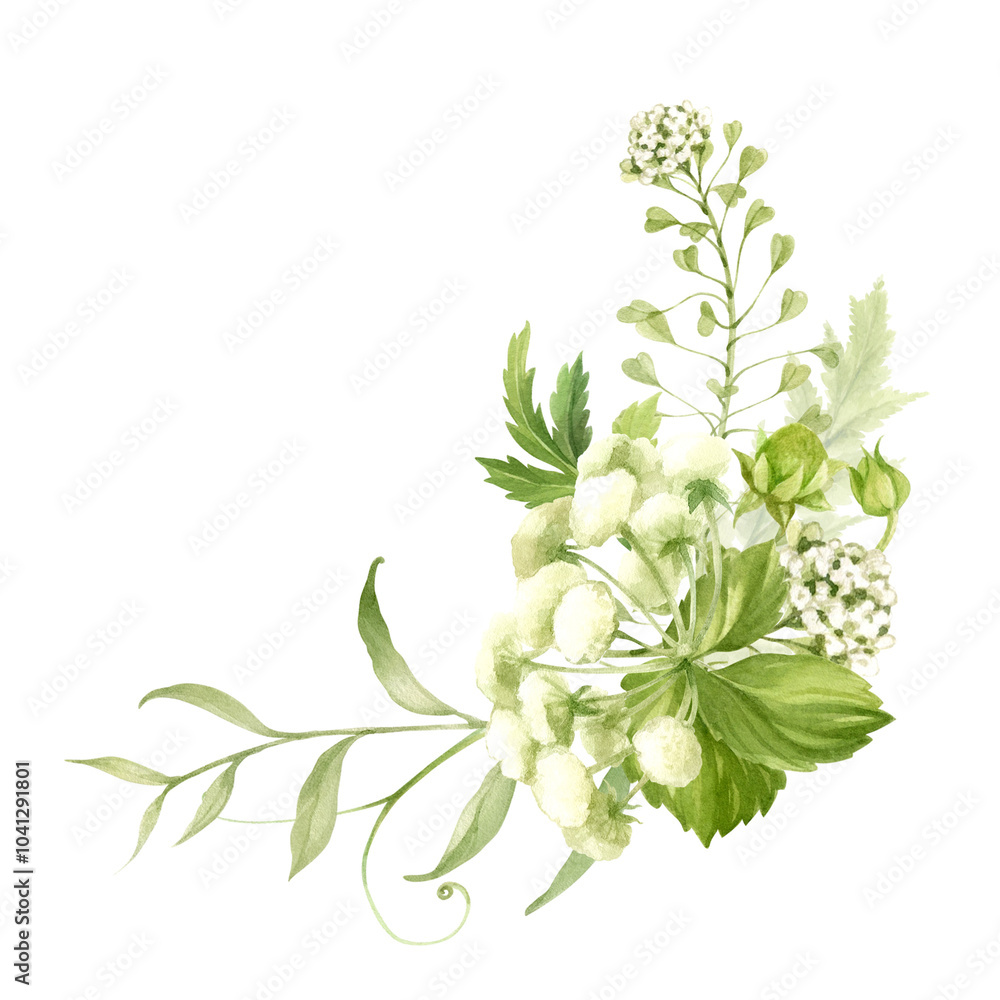 Fototapeta premium Corner frame with wildflowers celery, Capsella and meadow herbs. Watercolor illustration