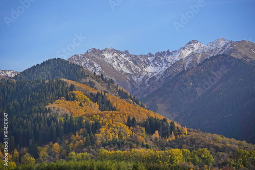 A mountainous area with various trees and fir trees. Akbulak Gorge. Autumn. Yellow leaves. photo