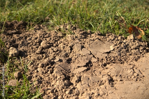 Wallpaper Mural building groung agriculture Torontodigital.ca