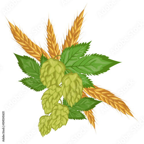 Compositions of leaves and fruits of hops and wheat or barley. Hops herb plant for brewery of beer. Branch of hop. For the design of a poster, menu of a craft brewery