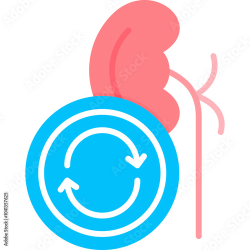 Kidney Transplant Icon