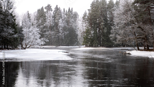 River landscape in a beautiful cold morning. Farnebofjarden national park in north of Sweden photo