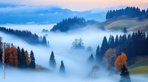 Misty Forest Landscape with Colorful Trees at Dusk