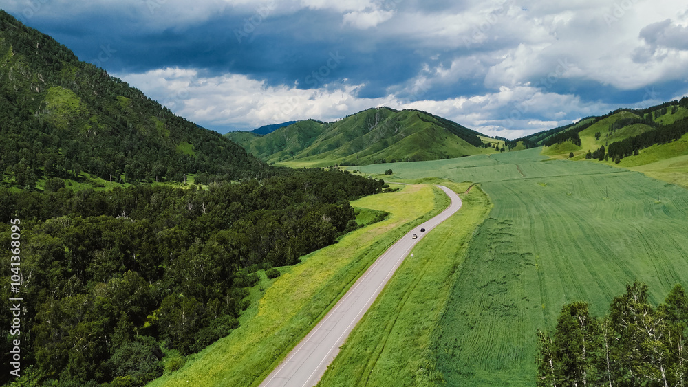 Fototapeta premium the car is driving along a mountain road in Altai