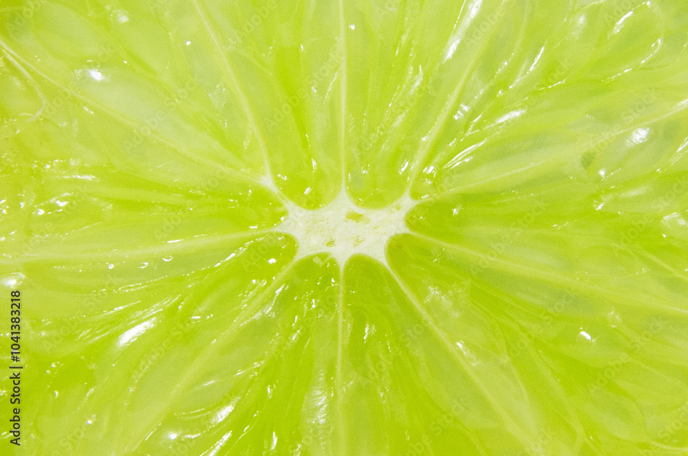 Macro close up surface texture Juicy slice of lime Macro close up surface texture Juicy slice of lime