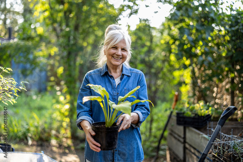 Cuadro en lienzo Portrait of smiling senior woman holding potted plant in her garden