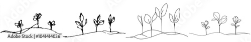 Drawing of a growing plant in continuous line with one hand drawn minimalist design