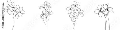 A bunch of plumeria flowers drawn in continuous line art style on white background.