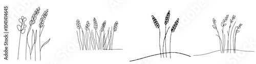 An isolated white background with a drawing of ears of wheat in one line