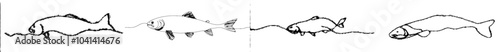 Drawing style of salmon fish in continuous lines. Minimalist black linear sketch on white background. Modern illustration.