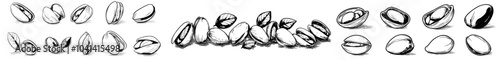 An outline sketch of colored pistachios and unpainted pistaches. Unopened nut fruits and peels. Handcrafted modern illustration isolated against a white background.