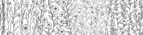 Seamless repeating floral background with herbs print, black and white vintage texture with wildflowers and herbs. Drawn modern illustration.