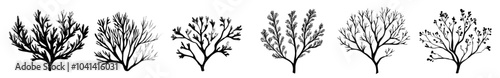 Set of underwater corals. Underwater plants. Tropical aquatic branches. Exotic underwater algae and seaweeds. Hand-drawn modern illustration isolated on white.