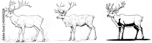 Deer with gorgeous antlers walking outline illustration