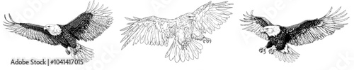 Monochrome modern hand drawn doodle of an eagle landing a swoop attack