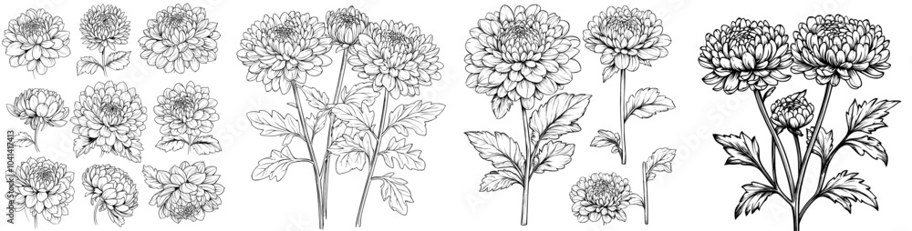 A daisy drawing in one line on a white background. A continuous line drawing in one line. A modern clipart for Eps10. A daisy drawing in one line on a white background. A continuous line drawing in one line. A modern clipart for Eps10.